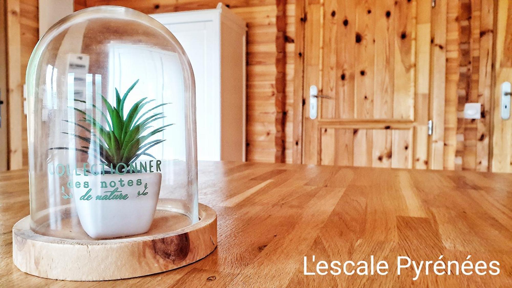 Le Chalet Jacuzzi Et Detente 4 Etoiles Bagneres-de-Bigorre Bagian luar foto